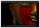 Thumbnail-12