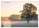 Thumbnail-14