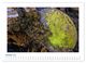 Thumbnail-11