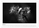 Thumbnail-12