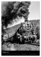 Thumbnail-12