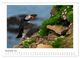 Thumbnail-14