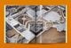 Thumbnail-17