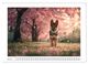Thumbnail-14