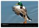 Thumbnail-14