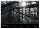 Thumbnail-14