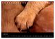 Thumbnail-9