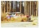 Thumbnail-11