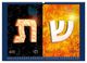 Thumbnail-12