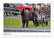 Thumbnail-11
