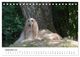 Thumbnail-14