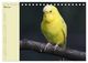 Thumbnail-10