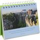 Thumbnail-15
