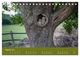 Thumbnail-13