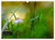 Thumbnail-11