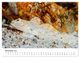 Thumbnail-12