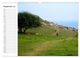 Thumbnail-14