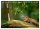 Thumbnail-10