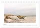 Thumbnail-11