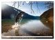 Thumbnail-9