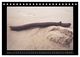 Thumbnail-14