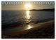 Thumbnail-14