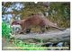 Thumbnail-12