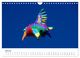 Thumbnail-12