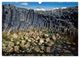 Thumbnail-10