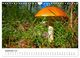 Thumbnail-14