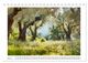 Thumbnail-7
