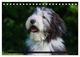 Thumbnail-9