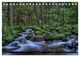 Thumbnail-13
