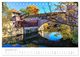 Thumbnail-13