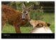 Thumbnail-13