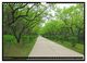 Thumbnail-14