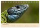 Thumbnail-14
