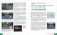 Thumbnail-14