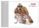 Thumbnail-12