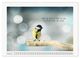 Thumbnail-10