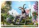 Thumbnail-8