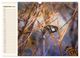 Thumbnail-14