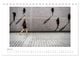 Thumbnail-12