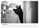 Thumbnail-14
