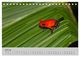 Thumbnail-12