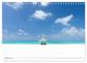 Thumbnail-14