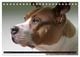 Thumbnail-14