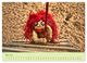 Thumbnail-7