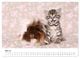 Thumbnail-9