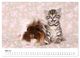 Thumbnail-10